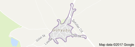 Günyüzü Uydu Görüntüsü Uydu Haritası Eskişehir