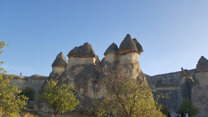 Nevşehir Paşabağ Vadisi Uydu Görüntüsü Haritası